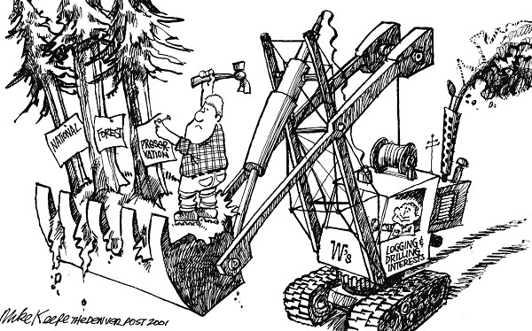 Forest Preservation