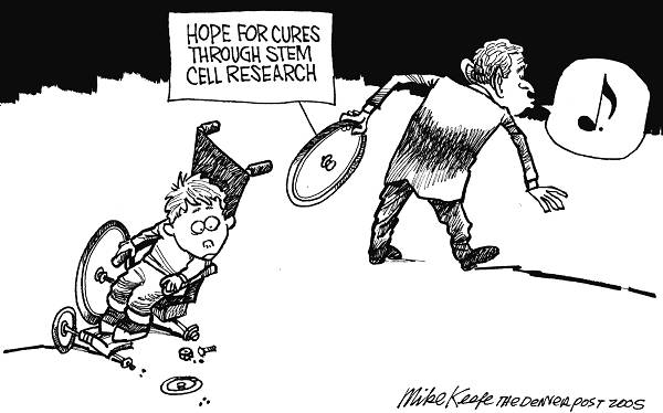 Stem Cell Hopes
