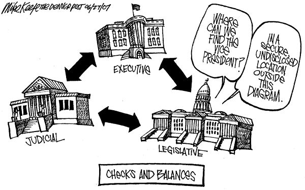 checks and balances examples. key words lineitem Checks