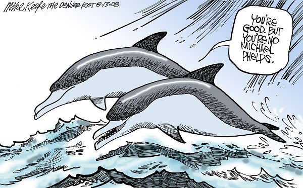 Dolphin Talk