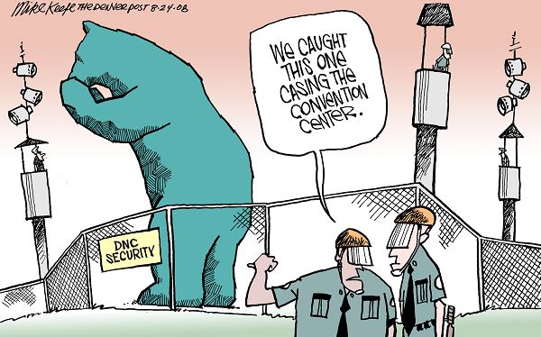 DNC Security
