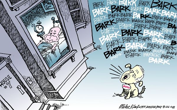Biden Dogs McCain