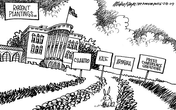White House Plantings