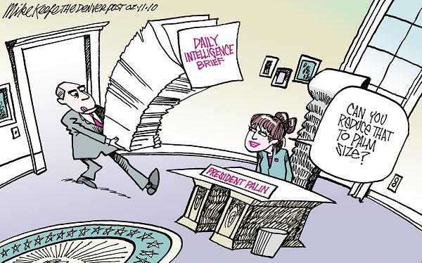 President Palin Brief