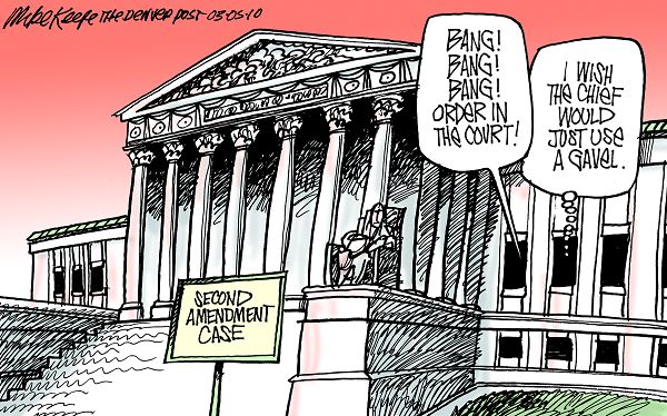 Second Amendment Case