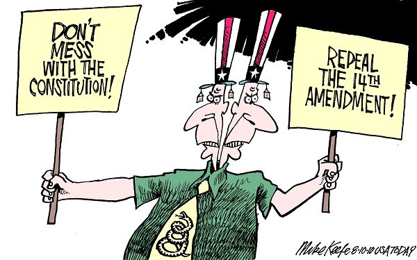 14th+amendment+political+cartoon