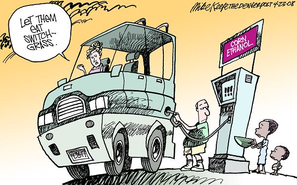 Corn Ethanol vs Switchgrass - Mike Keefe Cartoon
